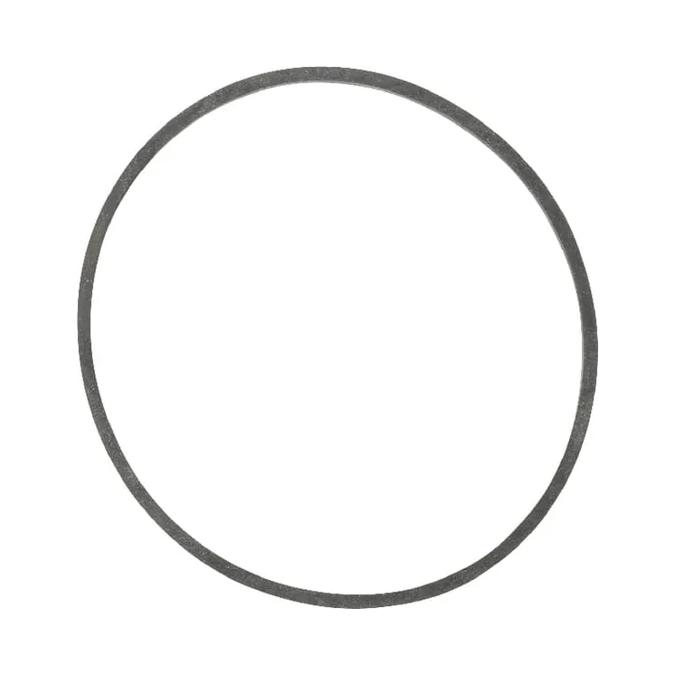 Gasket float bowl  694920 Briggs & Stratton