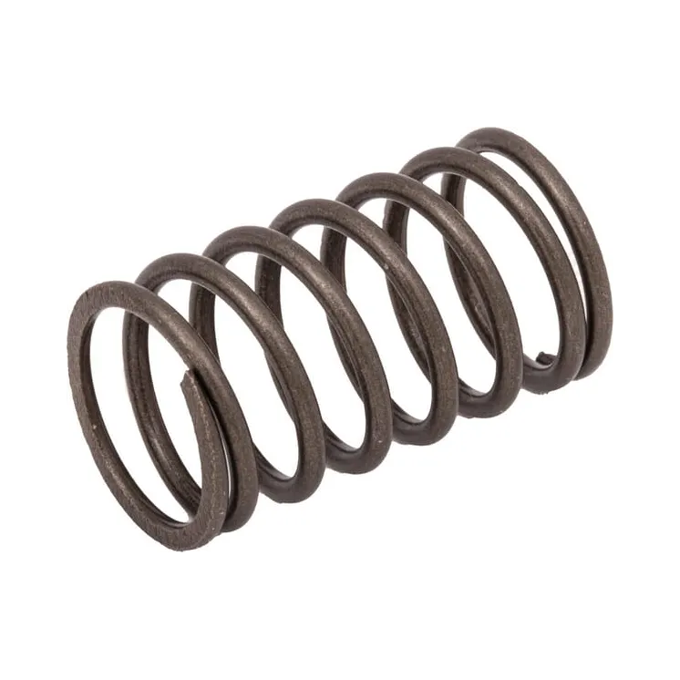 Valve spring  691270 Briggs & Stratton