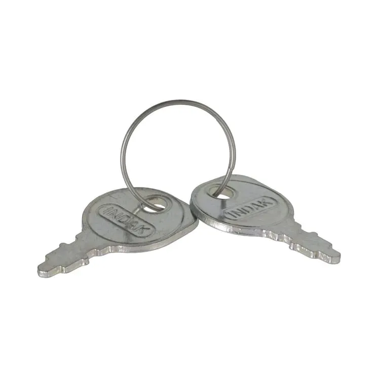 Ignition key Pair  7011138YP Briggs & Stratton