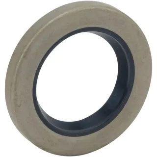Seal  7011817YP Briggs & Stratton