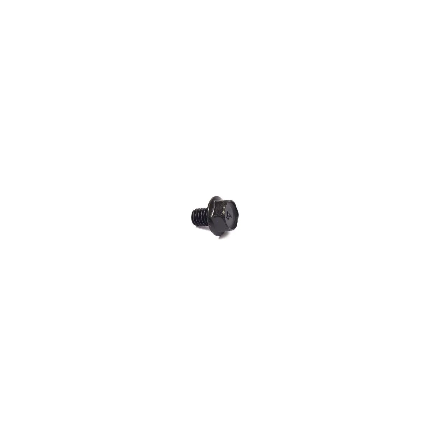 Skrūve 710074 Briggs & Stratton