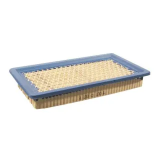 Air filter  710265 Briggs & Stratton 30761R FGP014189