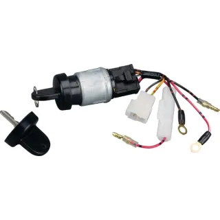Ignition key  712118 Briggs & Stratton