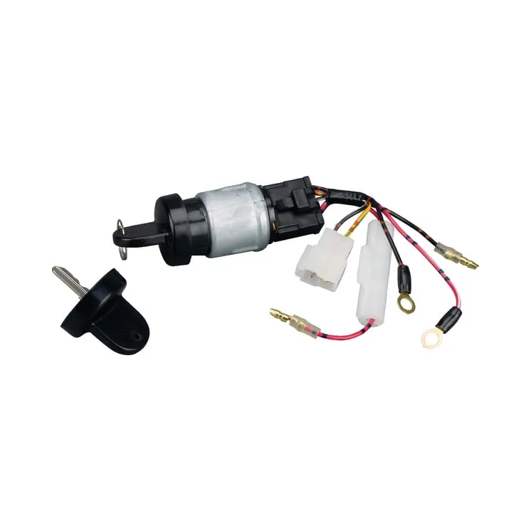 Ignition key  712118 Briggs & Stratton