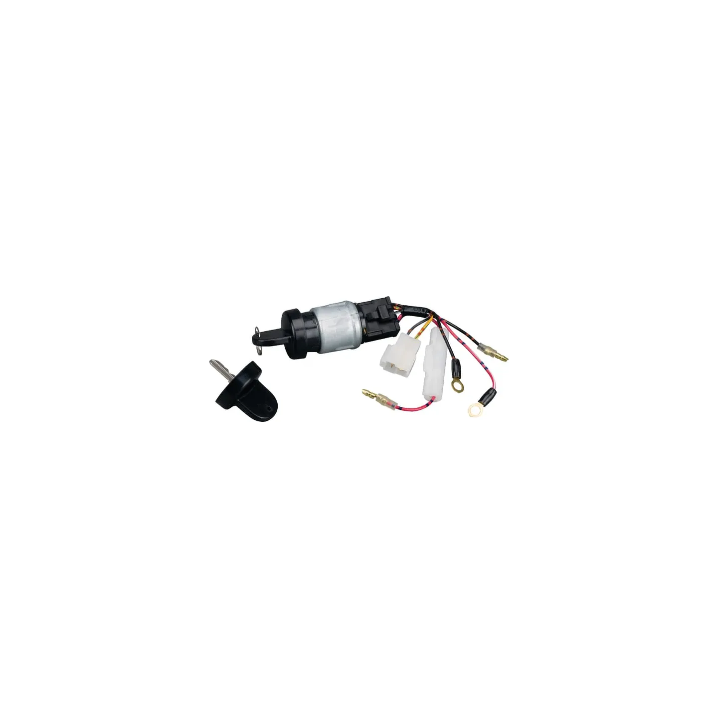Ignition key  712118 Briggs & Stratton