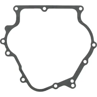 Crankcase gasket  710378 Briggs & Stratton