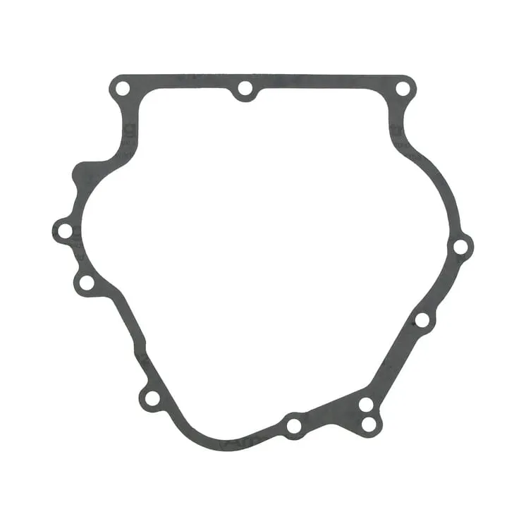 Crankcase gasket  710378 Briggs & Stratton