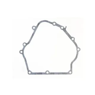 Crankcase gasket  710216 Briggs & Stratton