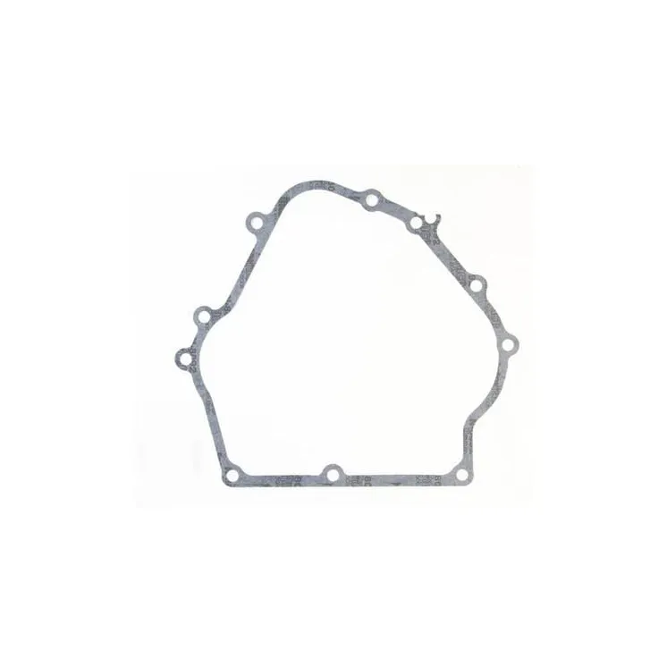Crankcase gasket  710216 Briggs & Stratton