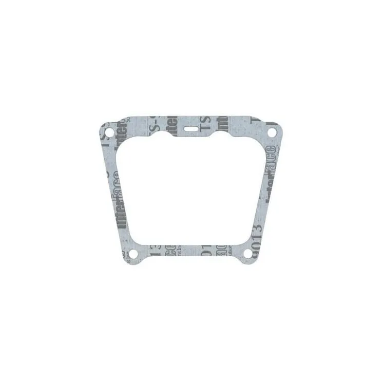 Gasket valve cover  710377 Briggs & Stratton