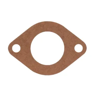 Intake gasket  710559 Briggs & Stratton