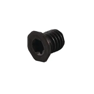 Screw  705105 AL-KO