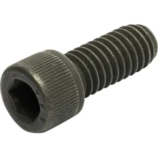 Screw 5/16x3/4  7091738SM Briggs & Stratton