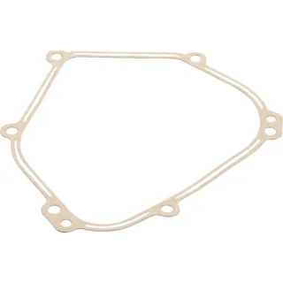 Crankcase gasket  798462 Briggs & Stratton