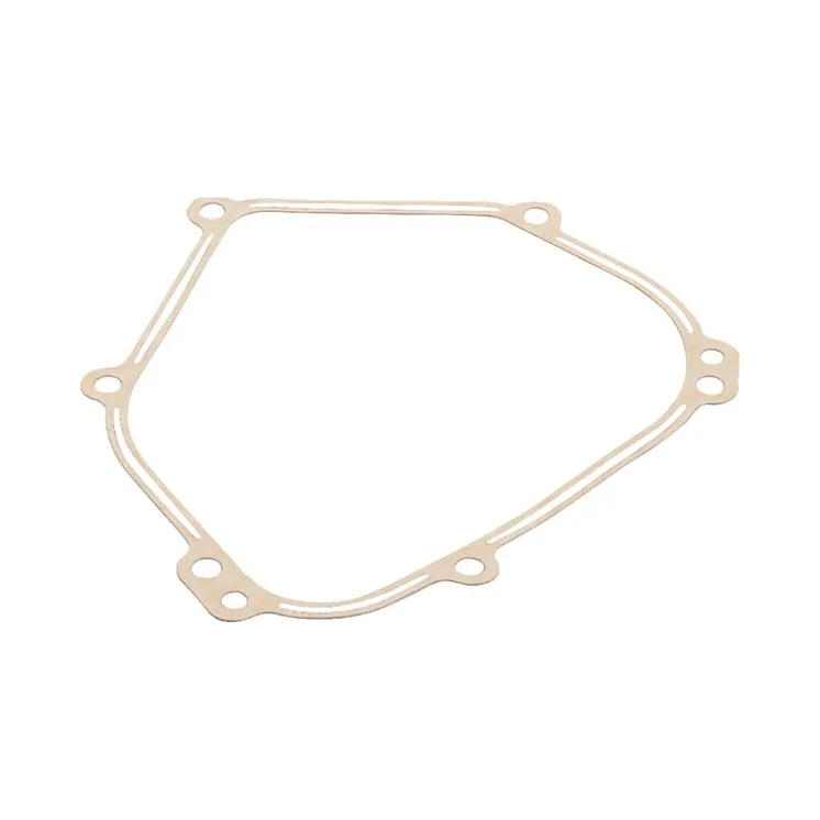 Crankcase gasket  798462 Briggs & Stratton