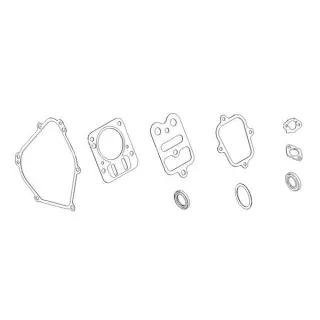 Blīvju komplekts 798540 Briggs & Stratton