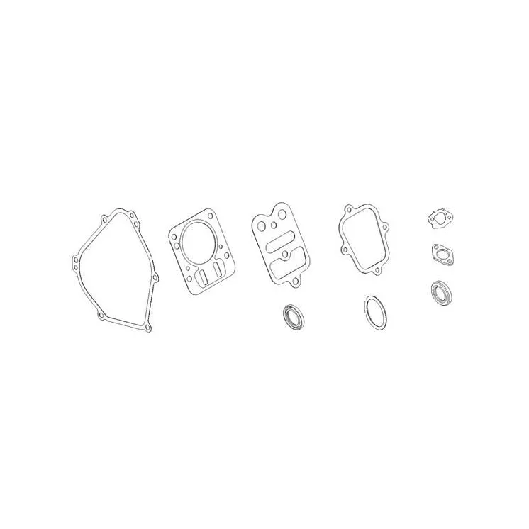Gasket set  798540 Briggs & Stratton
