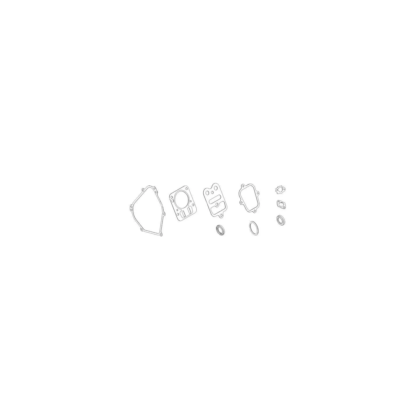Gasket set  798540 Briggs & Stratton
