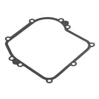 Crankcase gasket  799587 Briggs & Stratton
