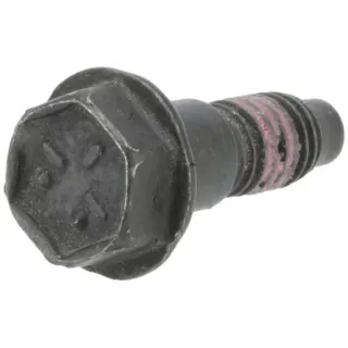 Screw  798294 Briggs & Stratton