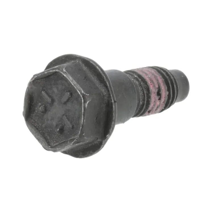Screw  798294 Briggs & Stratton