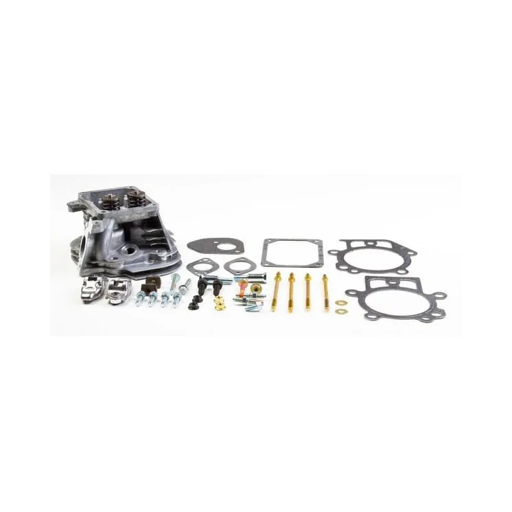 Cylinder head  799859 Briggs & Stratton 799860