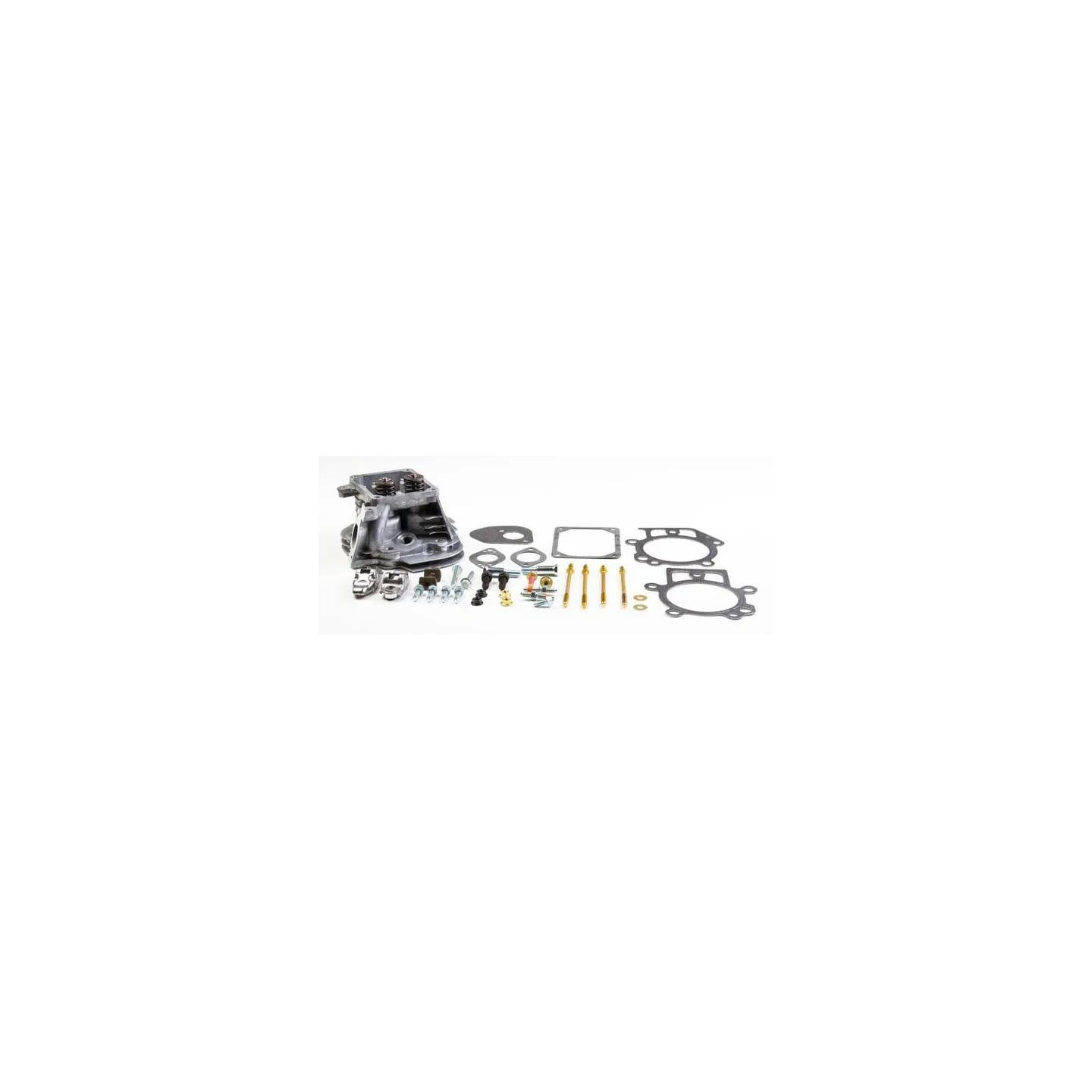 Cylinder head  799859 Briggs & Stratton 799860