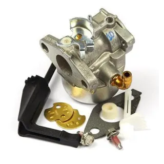 Carburettor  798653 Briggs & Stratton 696981 698860 791077