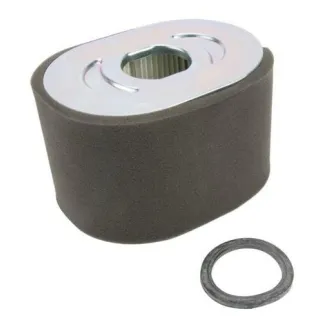 Air Cleaner Filter  799818 Briggs & Stratton