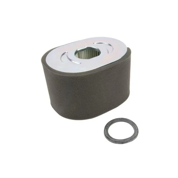 Air Cleaner Filter  799818 Briggs & Stratton