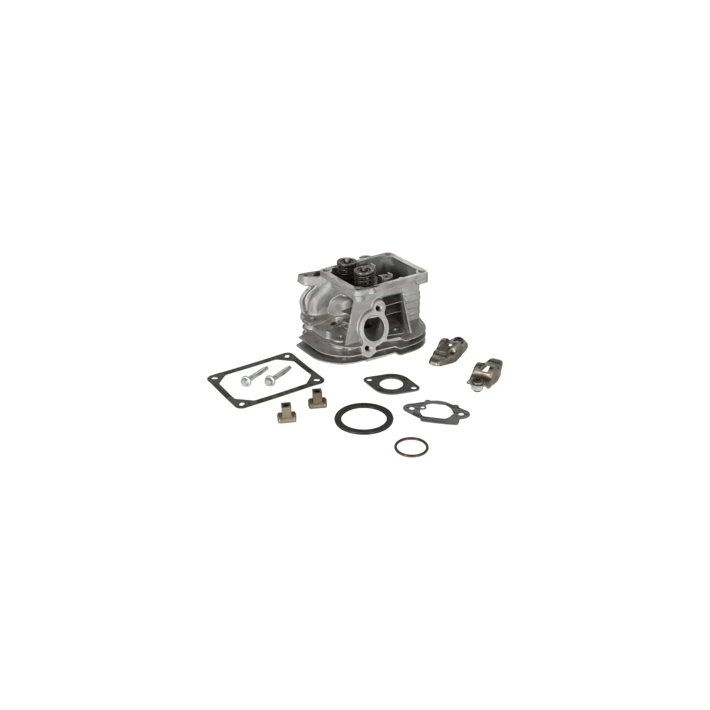 Cilindra galva 799858 Briggs & Stratton
