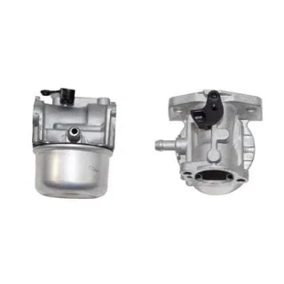 Carburettor  799868 Briggs & Stratton 498170 498254 694882 698444