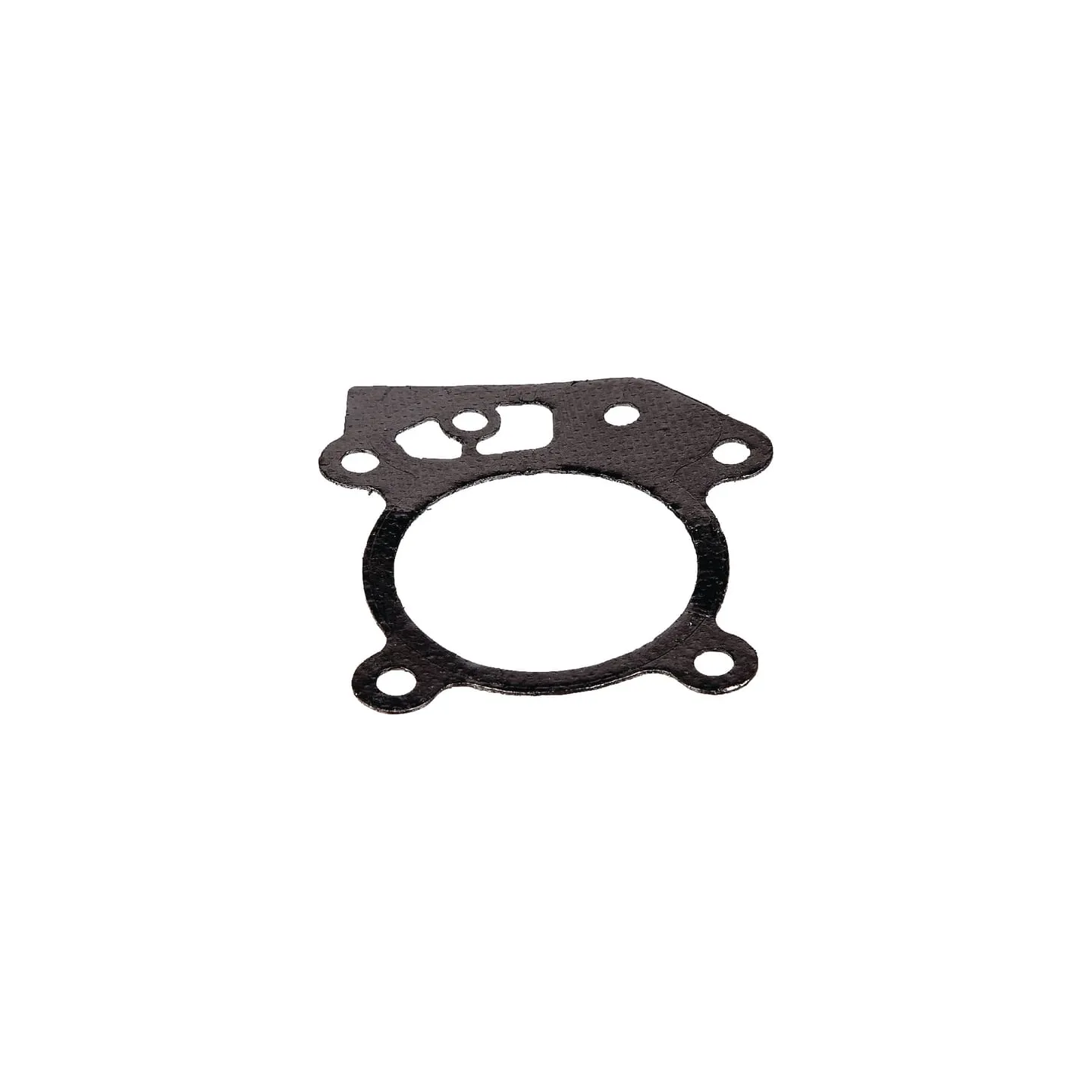Cylinder head gasket  799586 Briggs & Stratton