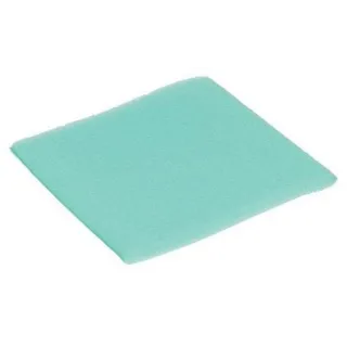 Pre-filter  798795 Briggs & Stratton