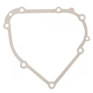 Crankcase gasket  798807 Briggs & Stratton
