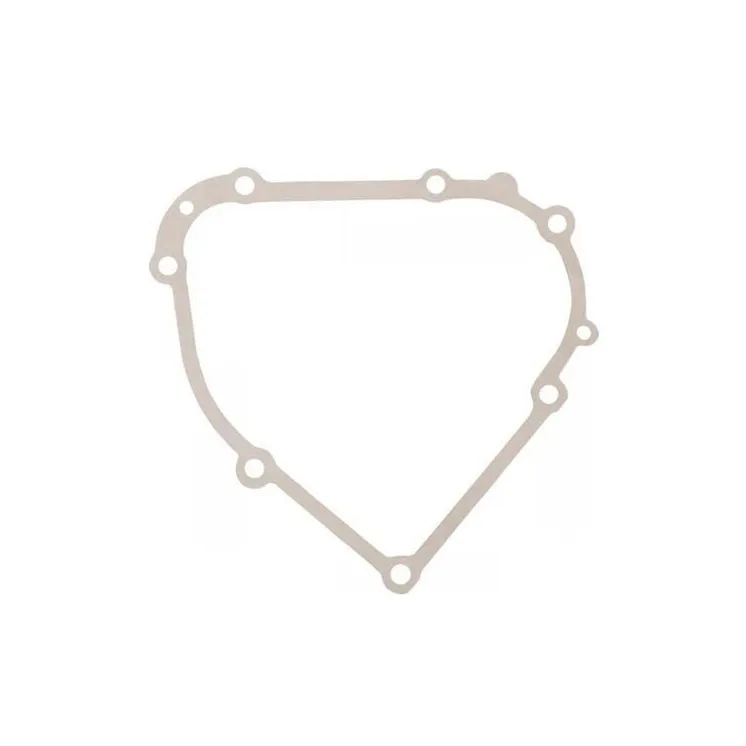 Crankcase gasket  798807 Briggs & Stratton