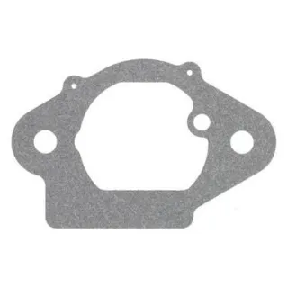 Blīve 798962 Briggs & Stratton