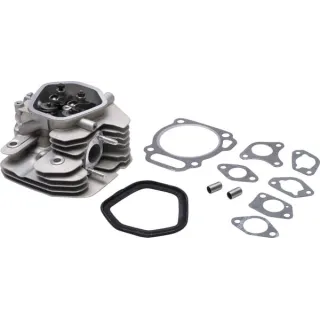 Cylinder head  799801 Briggs & Stratton