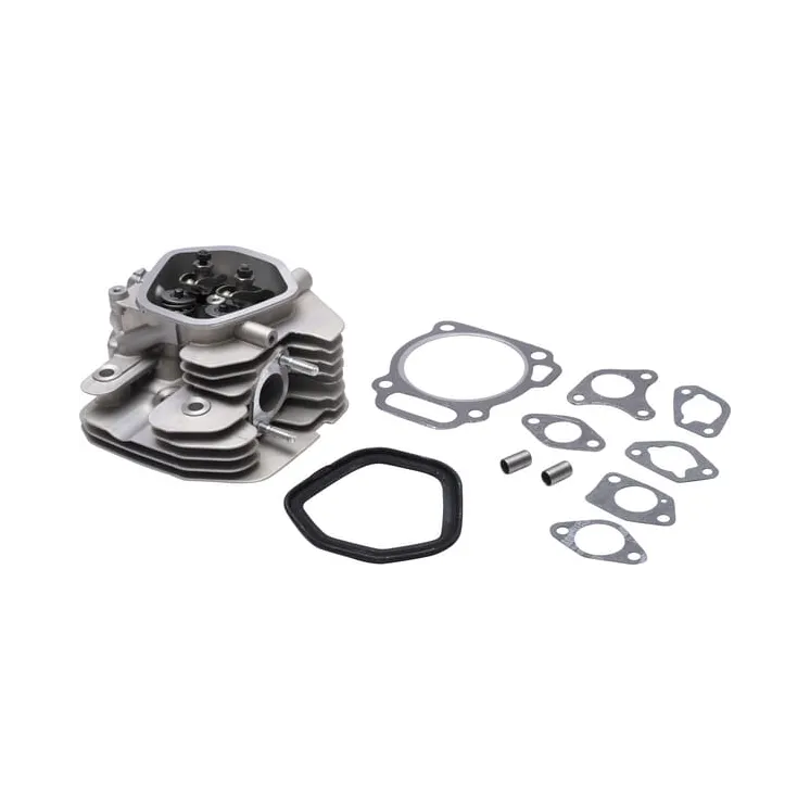 Cylinder head  799801 Briggs & Stratton