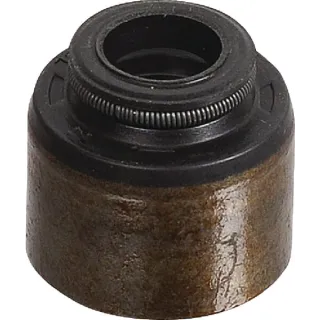 Sealing valve  795440 Briggs & Stratton 692044