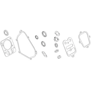 Gasket kit  791797 Briggs & Stratton