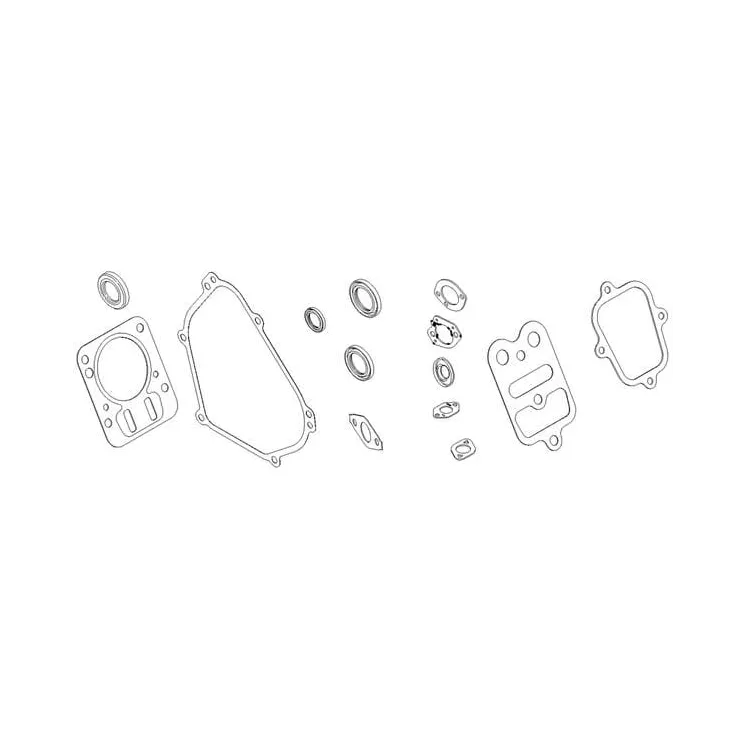 Gasket kit  791797 Briggs & Stratton