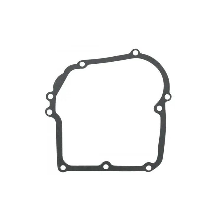 Blīve-Karteris 797789 Briggs & Stratton