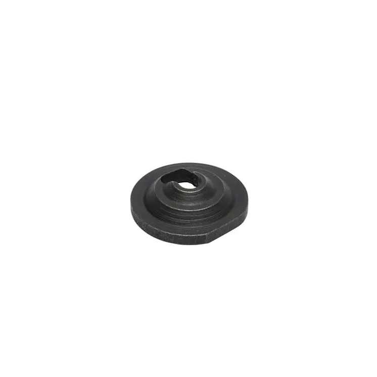Retainer-valve  797204 Briggs & Stratton