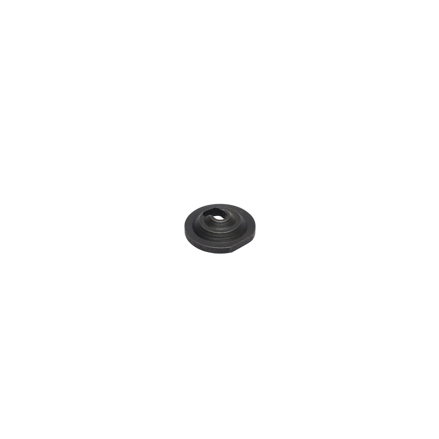 Retainer-valve  797204 Briggs & Stratton