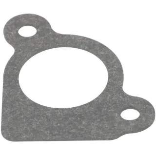 Intake gasket  794306 Briggs & Stratton