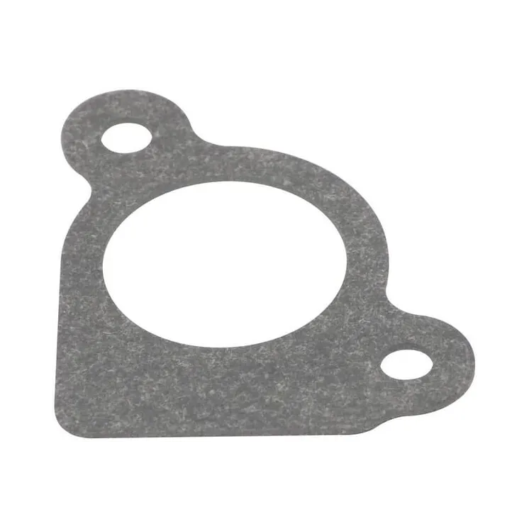 Intake gasket  794306 Briggs & Stratton