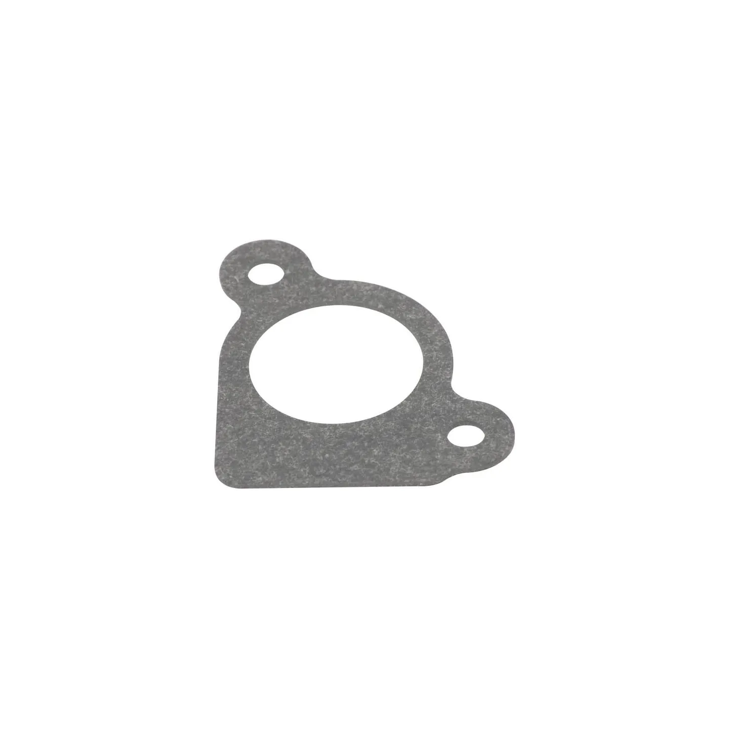 Intake gasket  794306 Briggs & Stratton