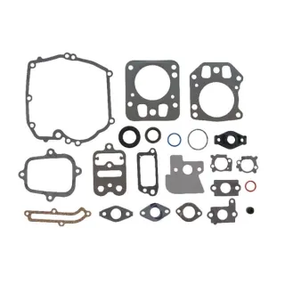 Blīvju komplekts 795442 Briggs & Stratton 694090 792384