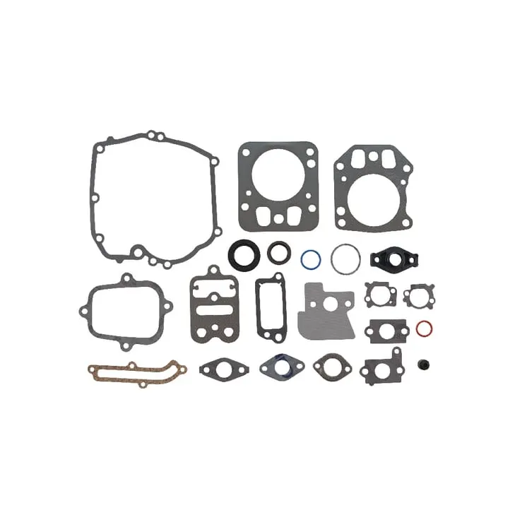 Gasket set  795442 Briggs & Stratton 694090 792384